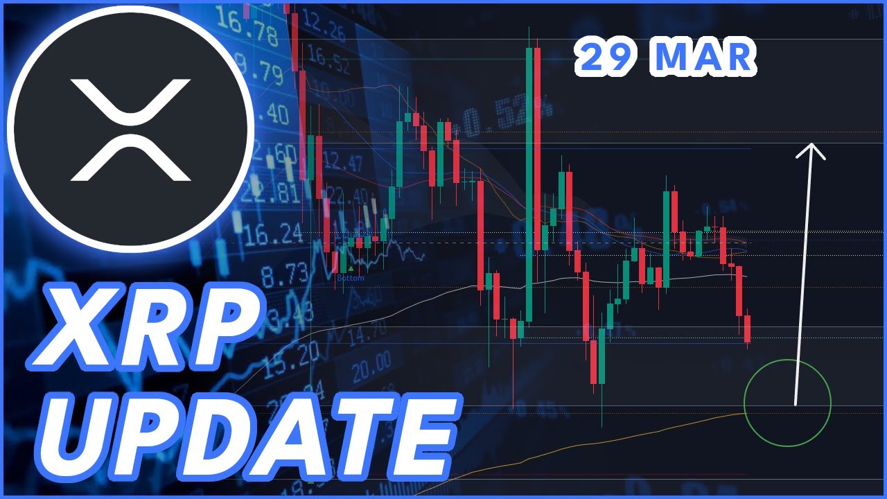 CRITICAL SUPPORT FOR XRP!🚨 | RIPPLE (XRP) PRICE PREDICTION & NEWS 2025! -  YouTube