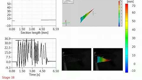 3D Digital Image Correlation used to measure and model the motion of dragonfly wings