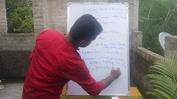 Scalar and vector introduction