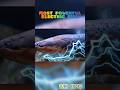 Electric fish