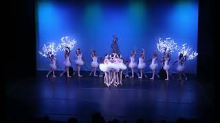 Swan Lake Ballet - Dance Of The Little Swans