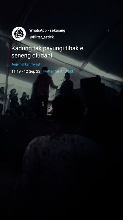 STORY WA // PAYUNG UDAN TEKO //KEREN VIRAL