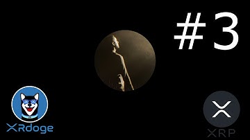 Nemarious: XRDoge Quick Update