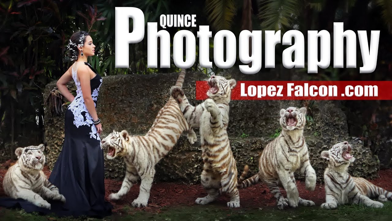 QUINCES PHOTOGRAPHY QUINCEANERA TIGER & BABY TIGERS MIAMI