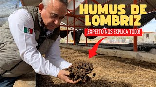 Experto Nos Habla Sobre El Humus De Lombriz, Sus Usos y Beneficios