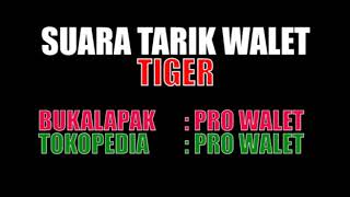 Download Lagu Suara Tarik Walet TIGER MP3