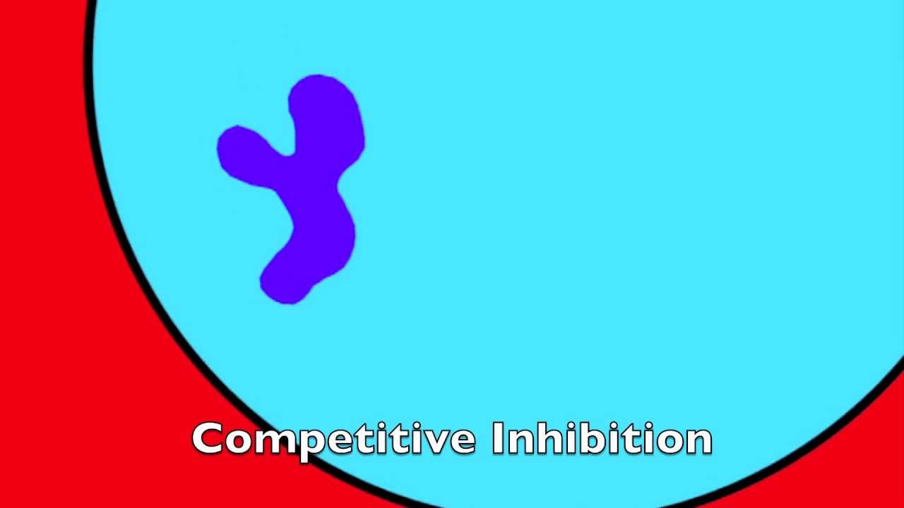 Enzyme Structure and Function