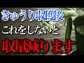 【きゅうり】収穫後はこの２つのことをしないと今後の収穫量が減ります