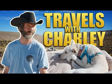 Travels With Charley - Tom Green On The Road With His Dog - Van Life