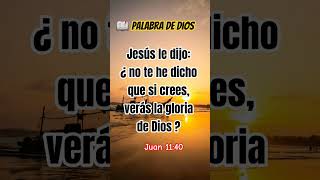 Jesús le dijo¿ no te he dicho que si crees verás la gloria de Dios?