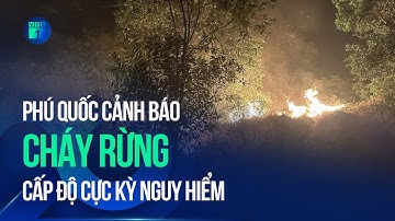Phú Quốc liên tục xảy ra cháy, cảnh báo cháy rừng cấp cực kỳ nguy hiểm | VTC1