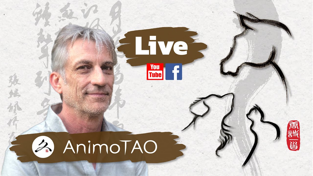 Plantes vs Chimie, qu'en est-il de l'efficacité ?