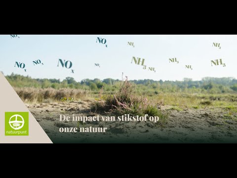 Video: Krijgen dieren bruikbare stikstof binnen?