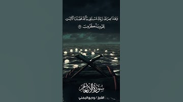 سورة الأنعام | Al-An‘ām | آية 126 | الشيخ وديع اليمني