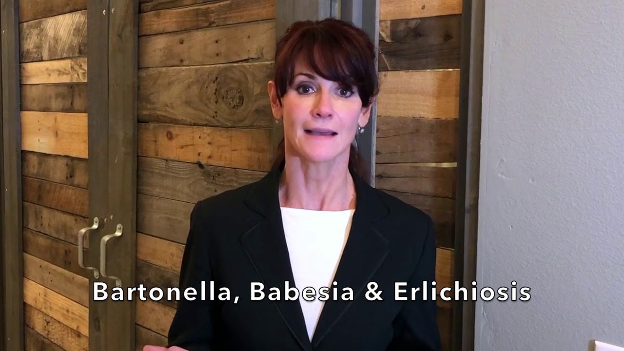 Topic: Lyme Disease Co-infections - Nicole Forsberg, Lyme Disease Treatment Expert