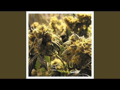 Plateau — Trainwreck