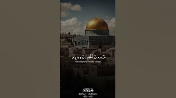 سورة إبراهيم | القارئ محمد صديق المنشاوي ❤️