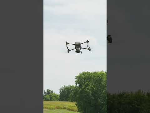 Spreading cover crops with DJI Agras drones