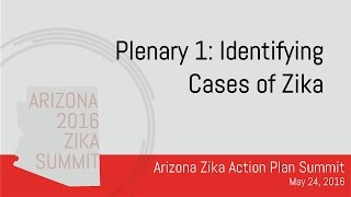 Arizona Zika Action Plan Summit: Identifying Cases of Zika