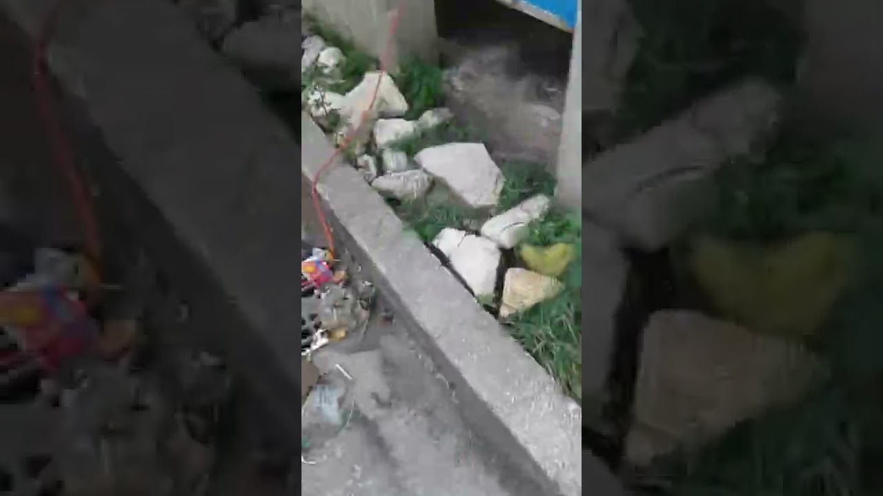 sus Christ b83 in Eagle hall and it sound Sweet