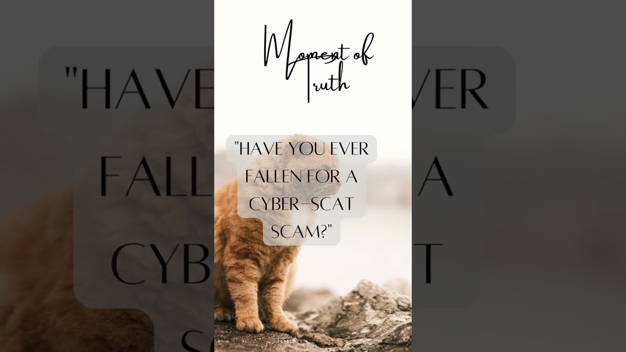 Cat Fact: The Great Cyber-Scat - Are you smarter than a cat?