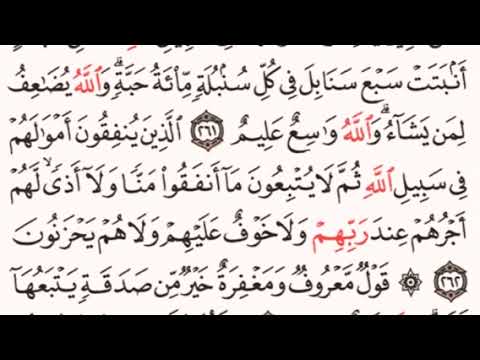 الصفحة رقم 44 الشيخ مشاري العفاسي 