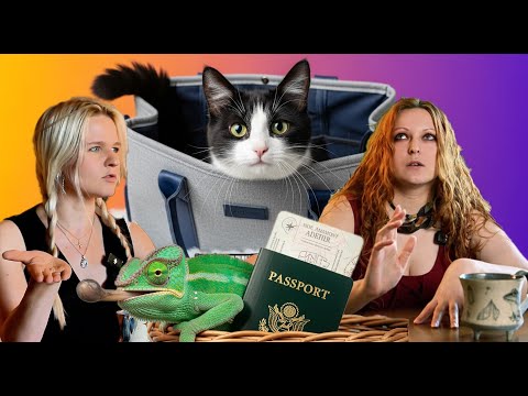 Emigration or Shelter: Realities for Pets | The Development of Terrarium Keeping | Zhivoslovie. M...