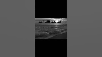 سورة الأخلاص ياسر الدوسري اكتب شيء تؤجر عليه 🤍