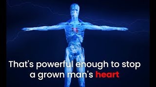 The Shockwave Torch screenshot 5