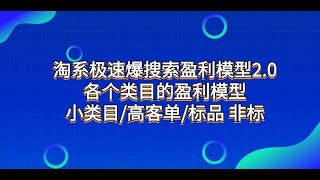 淘系极速爆搜索盈利模型2 0，各个类目的盈利模型，小类目高客单标品 非标 ，网络项目 互联网创业  实操教程   网赚   副业兼职  被动收入 蓝海项目 短视频教程