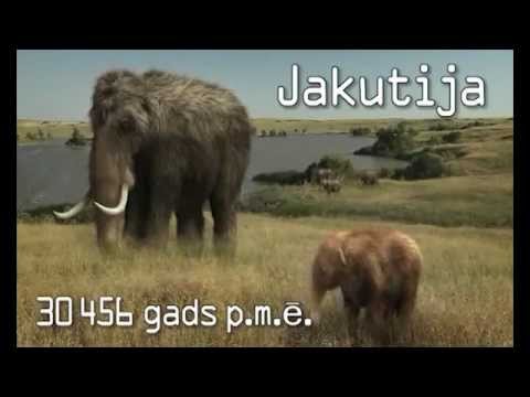 Video: Jakutijā Tika Atrasts Unikāli Saglabāts Mazuļu Mamuts. Alternatīvs Skats