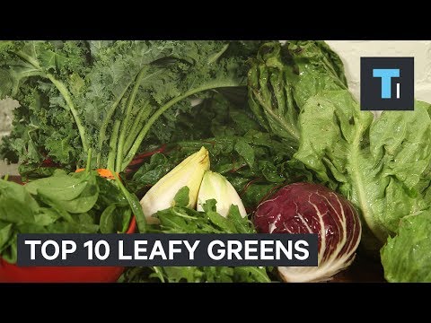 10 Healthiest Leafy Greens You Should Be Putting In Your Salad