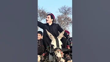 Toll Rata Ra Goriee Da Pardou Na Ghali Ghali Shaba Dholki Maara Pashto New Song 2024 