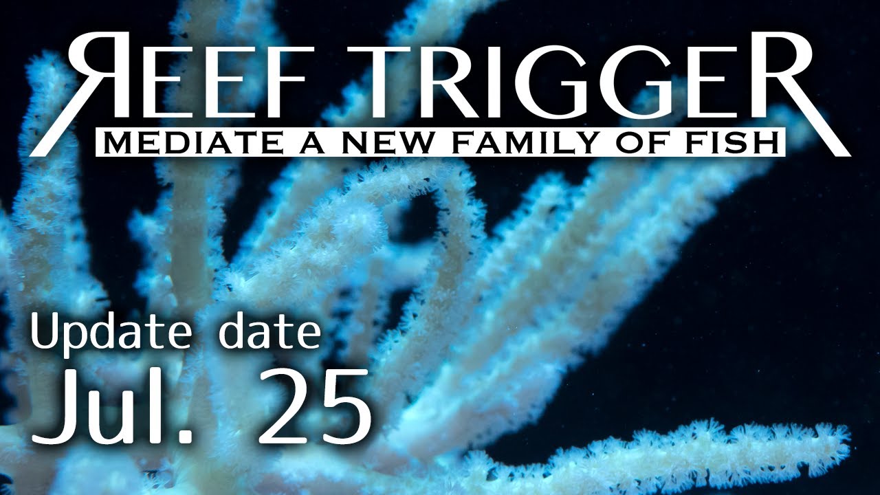 沖縄産ヤナギカタトサカ メタリックグリーン Ss Mlサイズ ２個体付 Reef Trigger