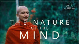 The Nature of the Mind | Buddhism In English