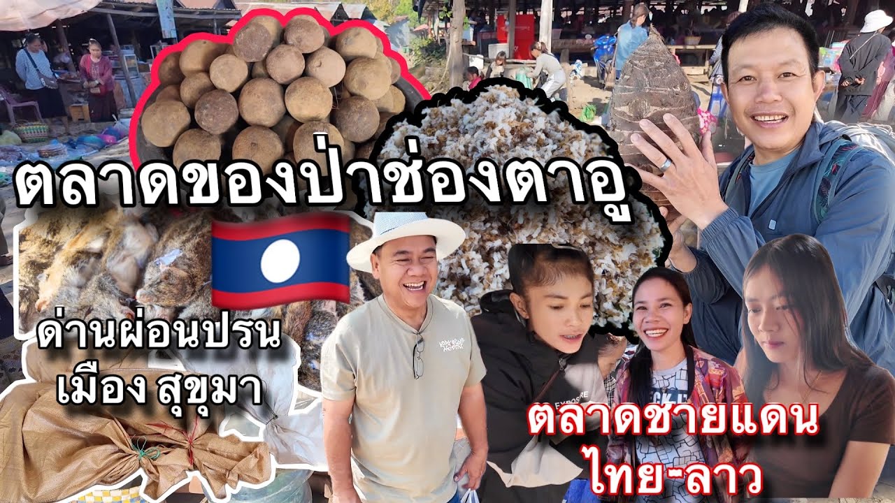 Ep15. ด่านผ่อนปรนไทย-ลาว ตลาดของป่าต้องยกให้ช่องตาอู ของป่าตามฤดูกาลใครชอบต้องมาให้ได้ครับ สปป.ลาว🇱🇦