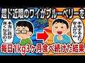 【2ch面白いスレ】超ド近眼のワイがブルーベリーを毎日1kg3ヶ月食べ続けた結果ｗｗｗ【ゆっくり】