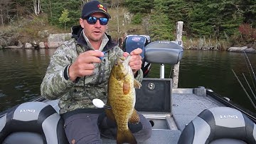 T-H Marine G-Force Cull Tags