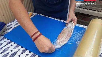 ¿Cómo se guarda el pescado crudo en la nevera?