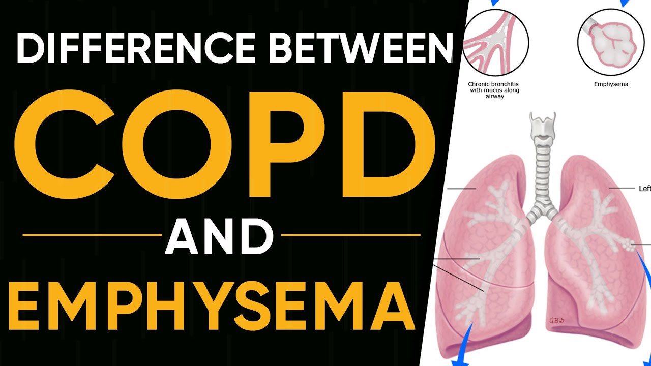 Whats The Difference Between Copd And Emphysema