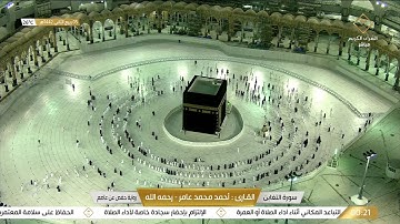 سورة التغابن بصوت القارئ أحمد محمد عامر