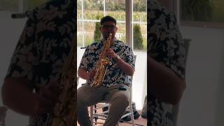 Andrei David - Live Nunta la Bistrita #shortsvideo #selmersax #music