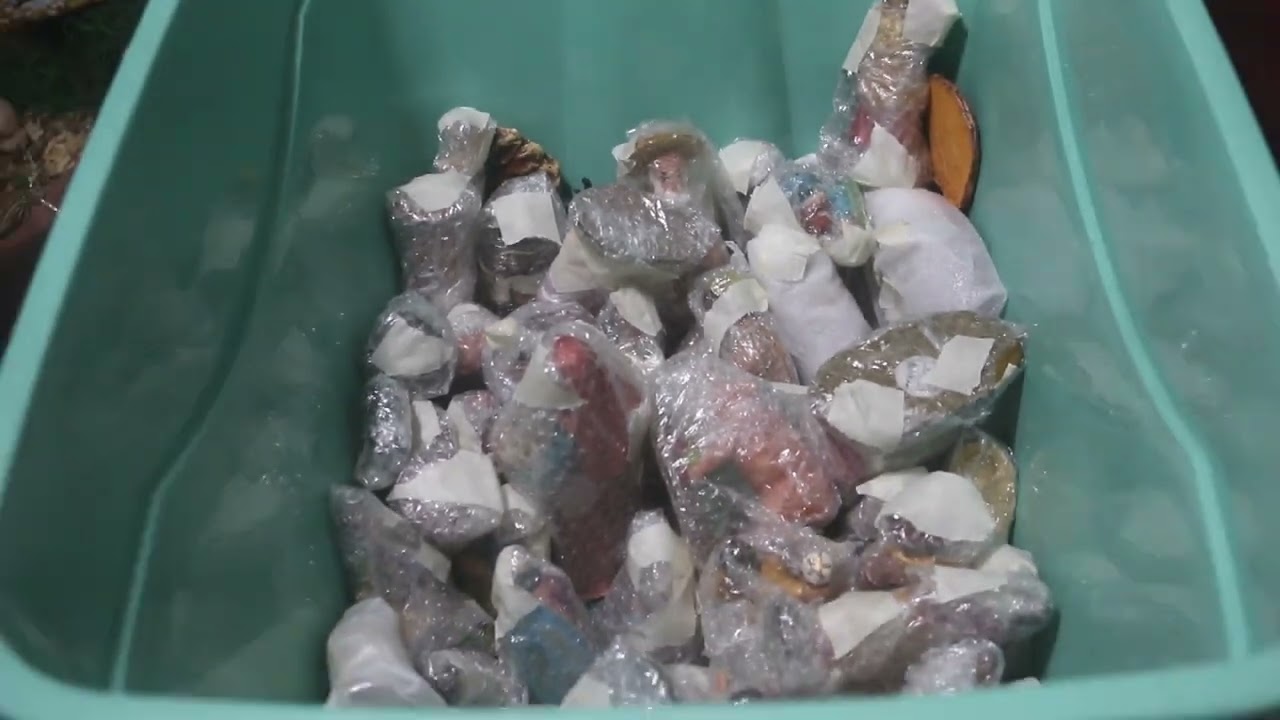 QUITANDO MI NACIMIENTO 2023 / Tips paso a paso. liclonny