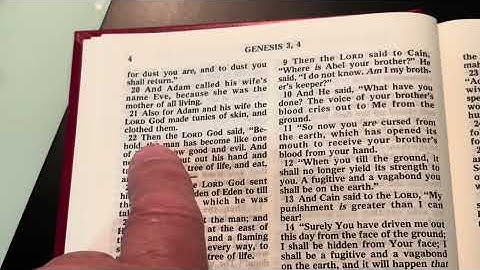 Alchemy. A guiding light. 