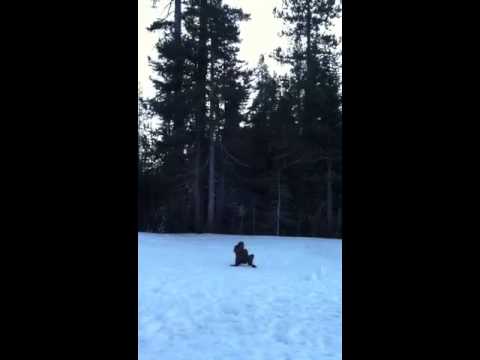 Tumbling in the snow!