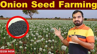 Onion Seed Farming | प्याज के बीज की खेती | Seed Farming | Pyaz ke bej ki kheti | Onion farming