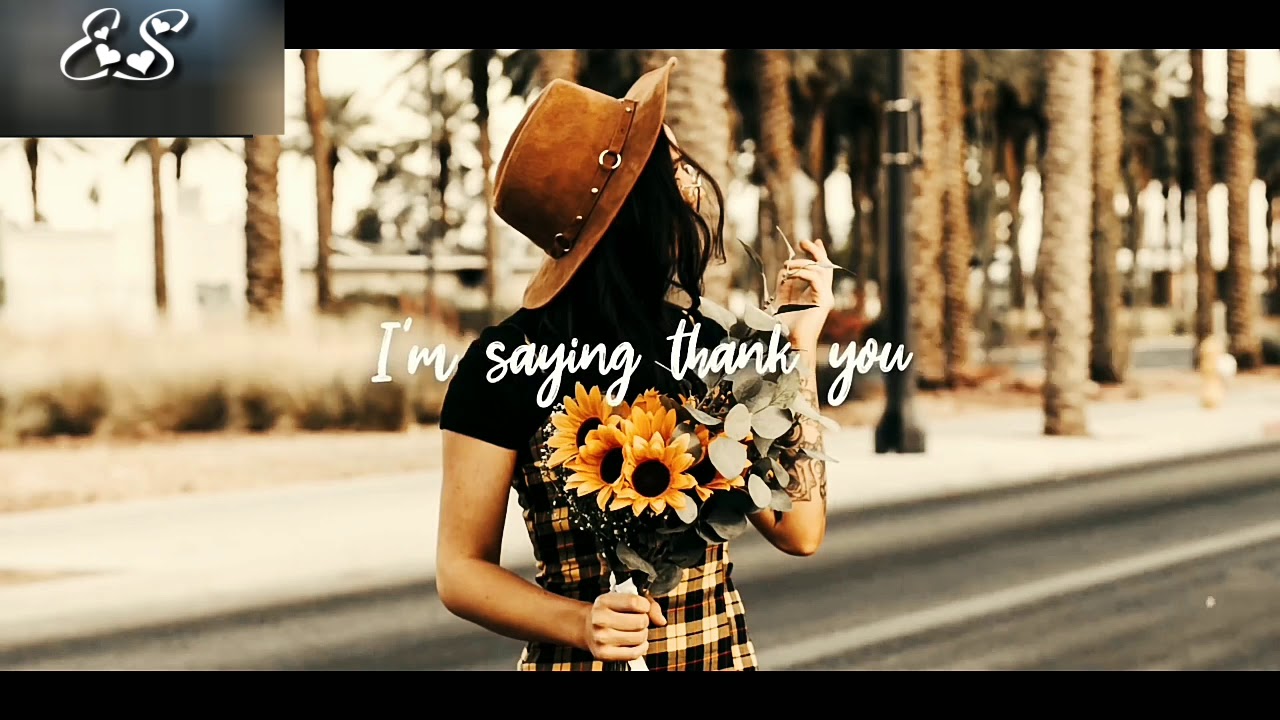 New Best English song ringtone new WhatsApp status Hollywood love