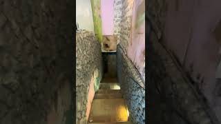 IMG 7980
