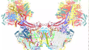 Video of the Day: Unusual ATP Synthase