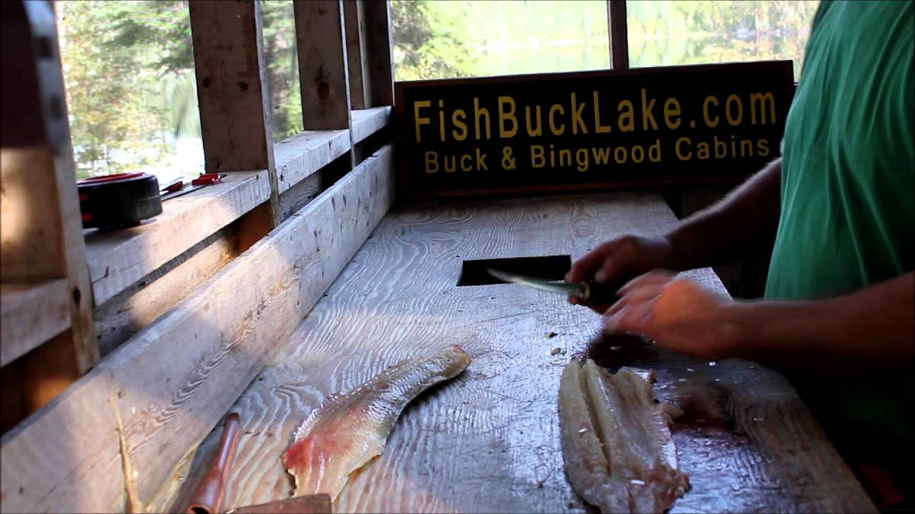 Removing YBones from a Northern Pike YouTube